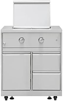 CT Copper Tailor Outdoor Propane Gas Double Side Burner with Dustproof Cover, Cabinet Style, 20000 BTUs, Stainless Steel by CTCopperTailor