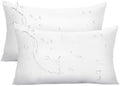 Ashler Outdoor Pillow Inserts, 12x20 Waterproof Throw Pillows Pack of 2 by AshlerHomeDeco