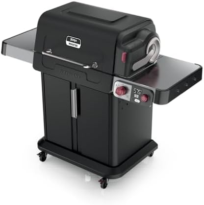 Ninja FlexFlame Grill & Smoker, Electric & Propane, 5-in-1, Black,PG301BK by Unknown