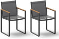 Outdoor Dining Chairs Set of 2, Aluminum Patio Dining Chairs by Oasbira