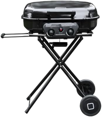 Flintex Portable Propane Gas Grill For Camping, 2-Burner Grill, 340 sq.in. by FlintexGrills