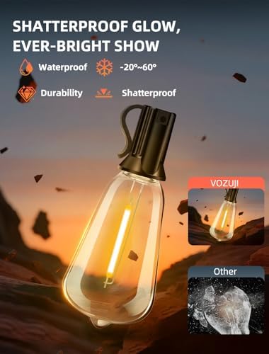 Outdoor Patio String Lights: 50Ft 15M Outside Waterproof Light - Remote Dimmable ST38 Shatterproof Bulb Connectable Hanging Outdoor Electric Lighting - Backyard Yard Gazebo Porch Party - Image 5