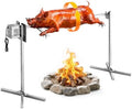 VEVOR Rotisserie Grill, 52in Electric Rotisserie Grill Kit 8 Level Height, BBQ Grills Rotisseries Kit with 132 lbs Load Capacity, Asador de Puerco, Stainless Steel Automatic Grilling Kits for Parties by VEVOR