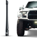 RONIN FACTORY Truck Antenna for Ford F150 Short Antenna Accessories F250 F350 Super Duty Dodge RAM 1500 Raptor Accesorios (Bronco 21-23) Accessories Short Replacement 8 Inch by RoninFactory