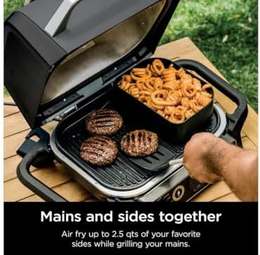 Ninja Woodfire Combo Crisper Basket for OG700, 2.5 Qt, Non-stick, Black - Image 4