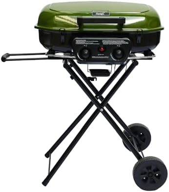 Flintex Portable Propane Gas Grill For Camping, 2-Burner Grill, 340 sq.in. by FlintexGrills