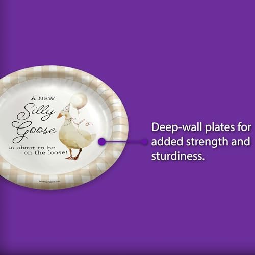 Birthday Galore Silly Goose Baby Shower - 32 Piece Disposable Party Supplies - Beige Gingham Baby Shower Decorations - Round Party Plates - Large 9" Paper Plates In Bulk - Image 4