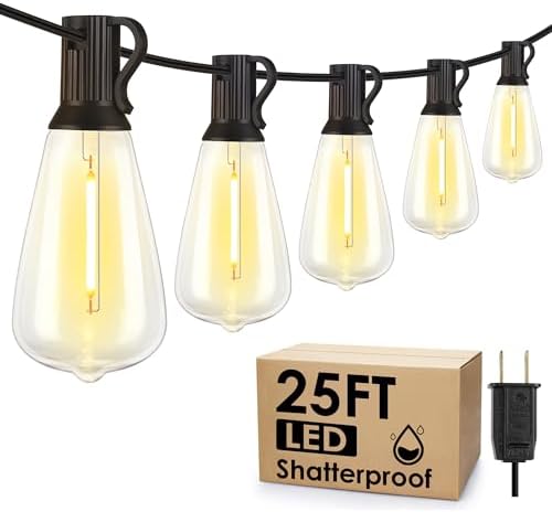Larkvue 25FT Outdoor String Lights, Patio Lights with 10+1 LED Dimmable Waterproof Shatterproof ST38 Retro Edison 2700K Bulbs for Balcony Yard, Black by Larkvue