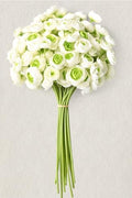 Waipfaru Ranunculus Artificial Flowers, 18Pcs 14In Fake Peonies Artificial Flowers, Faux Flower for Vase Silk Flower Real Touch Faux Peony Bulk for DIY Wedding Bouquet Home Bridal Shower Decor by Waipfaru