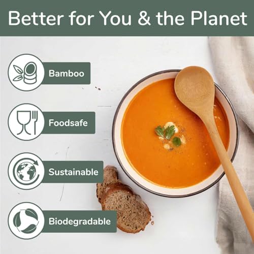 BambooMN 8" Reusable Bamboo Soup Spoon - 10 Units - Image 3