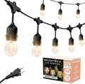 Brightech Ambience Pro LED String Lights - 48 Ft Commercial Grade Patio Lights Outdoor Waterproof - Heavy Duty Porch String Lights for Backyard, Christmas - Dimmable Vintage Edison 1W 15 Bulbs, by Brightech