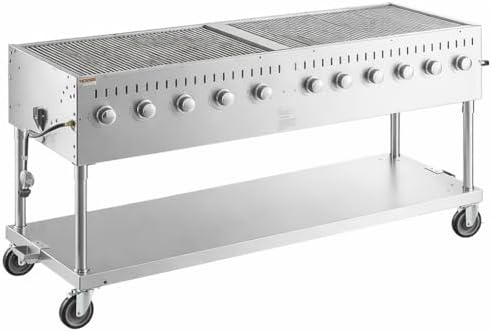 Commercial Stainless Steel Outdoor Liquid Propane Grill, 72" Cooking Surface, 10 Burners, 160,000 BTU, for Restaurant Patio, Resort, Catering, Outdoor Kitchen, Hotel by Krollen+Industrial