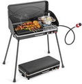 Giantex 2-in-1 Portable Propane Gas Grill & Stove with Detachable Legs by Giantex