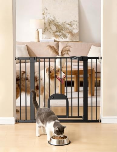 Babelio Dog Gate with Adjustable Cat Door, CatPrivilege III, 29-43", Black by BABELIO
