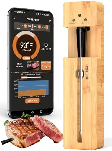 Real-Time Alerts Wireless Meat Thermometer - Long Range Bluetooth by BOTDOYS
