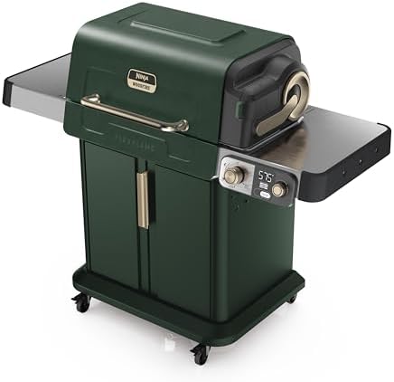 Ninja FlexFlame Grill & Smoker, Electric & Propane, 5-in-1, Green, PG301GN by Unknown
