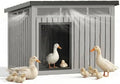 Large Chicken Coop with Hydraulic Air Rod, Resin Duck Coop with Elevated Floor and Air Vents, Backyard Poultry Pet Shelter with Weatherproof Openable Roof, for Chicken, Ducks, Rabbits, Grey by KFY