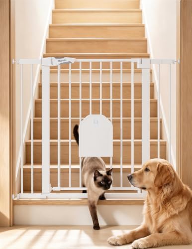 Babelio 36" Tall Dog Gate with Adjustable Cat Door, CatPrivilege I, 29-43" by BABELIO