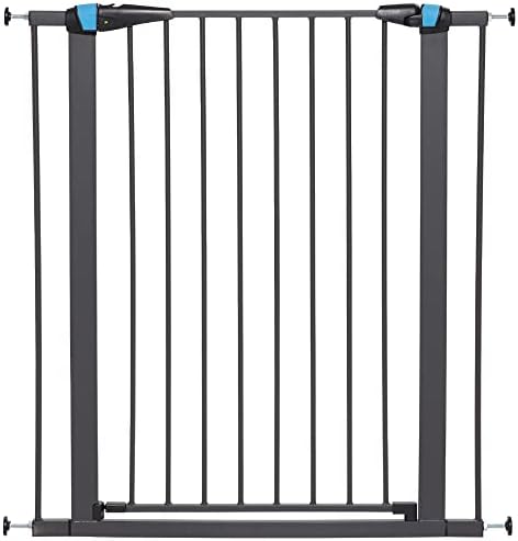 Midwest 39" Steel Dog Gate with Glow Strips, Graphite by MidWestHomesForPets