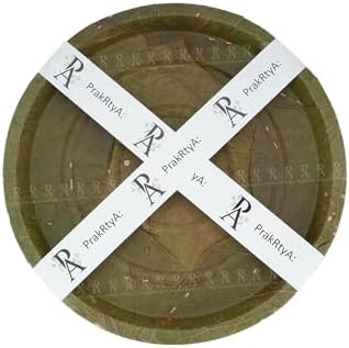 Siali Leaf Disposable Party Plates | Eco-Friendly Bio-Degradable Compostable Natural Plates | Theme Party, Wedding, Dinner (Olive Green, 12 Inche) - Image 3