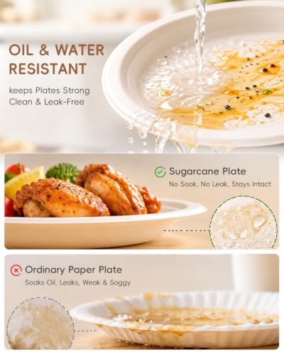 Goodluck 9 Inch White Compostable Sugarcane Paper Plates 250 Pack - Image 5