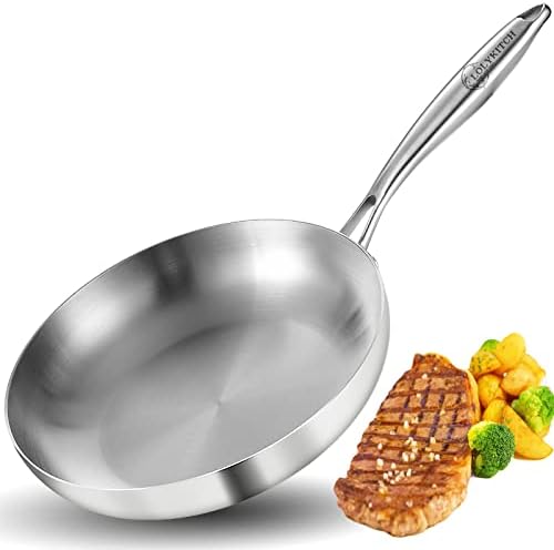 LOLYKITCH 11 Inch Stainless Steel Pan | Tri-Ply | PFOA & PTFE Free Skillet by LolyKitch