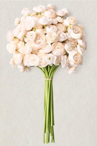 Waipfaru Ranunculus Artificial Flowers, 18Pcs 14In Fake Peonies Artificial Flowers, Faux Flower for Vase Silk Flower Real Touch Faux Peony Bulk for DIY Wedding Bouquet Home Bridal Shower Decor by Waipfaru