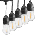 SUNTHIN 105FT Outdoor String Lights with 34 1W LED Bulbs by SUNTHIN