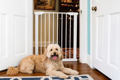 Cardinal Gates 36-Inch Pressure-Mount Baby/Pet Gate, White, 29.5-32.25 in by CardinalGates