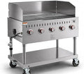 Stainless Steel Liquid Propane Outdoor Grill Silver 36″ With Wind Guard Commercial Catering Grill with Lid Spark Ignition Removable Grease Tray by GLOWNARY