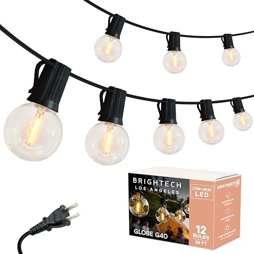 Brightech Ambience Pro LED String Lights - 26 Ft Patio Lights Outdoor Waterproof - Globe Porch String Lights for Outside, Christmas, Backyard - 12 Bulbs, 1W Vintage Edison, Warm White Black by Brightech