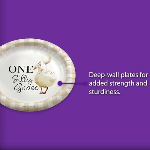 One Silly Goose First Birthday - 32 Piece Disposable Party Supplies - Decorations for Gingham 1st Birthday Round Party Plates - Large 9" Paper Plates In Bulk - Image 5