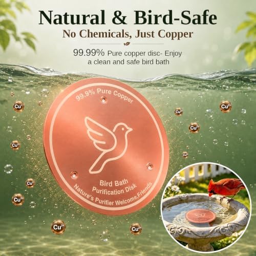 Copper Disc for Bird Bath, 99.9% Pure Copper (Dove) - Image 5