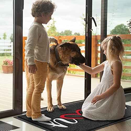 Door Mat Welcome Mat Floor Mat for Entryway, Patio, High Traffic Areas - Image 6