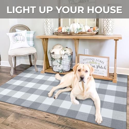 IOHOUZE 3x5 Buffalo Plaid Outdoor Rug, Washable Front Porch, Grey White - Image 4