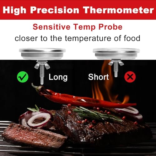 DELSbbq 67088 Grill Thermometer for Weber Genesis II/I 300 & Summit Series - Image 5