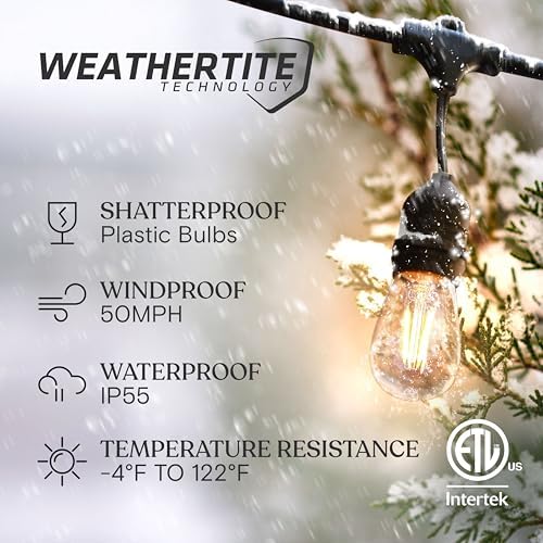 Brightech Ambience Pro - Waterproof LED Outdoor String Lights - 7 Hanging, Dimmable 2W Vintage Edison Bulbs - 24 Ft Commercial Grade Patio Lights Create Cafe Ambience in Your Backyard - Image 2