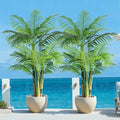 5ft Tall Triple Golden Cane Palm Artificial Tree Large Tropical Palm Tree UV Resistant Fake Plant in Pot for Indoor Outdoor Big House Living Room Outside Patio Office Home Decor 1Pack by Keeplush