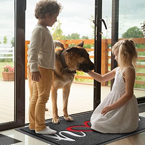 Door Mat Welcome Mat Floor Mat for Entryway, Patio, High Traffic Areas - Image 2