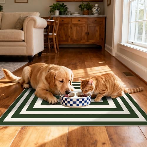 Front Door Mat Indoor Outside Entrance, 2x3 Green White Modern Rug - Image 6
