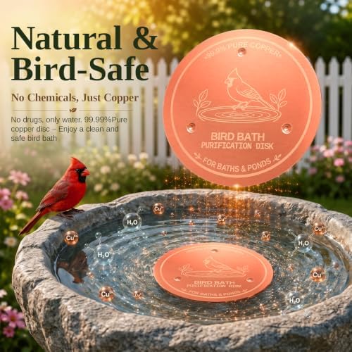 Copper Disc for Bird Bath, 99.9% Pure Copper (Cardinal) - Image 5