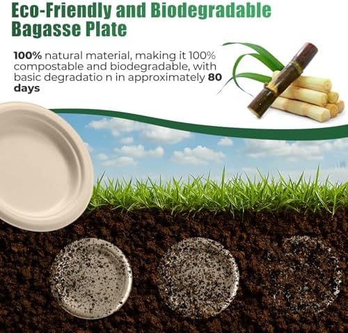 250 Piece Biodegradable Paper Plates Set Disposable Dinnerware Set, Eco Friendly Compostable (EXTRA LONG UTENSILS), Utensil include, Forks, Knives and Spoons for Party andBirthday party, camping - Image 6