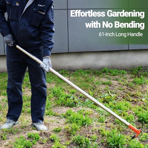 2-in-1 Garden Hoe and Weed Puller Rake 61 Inch Spring Steel Head Adjustable Long Handle Weeding Tool Heavy Duty Sand Texture Finish, Weed Remover for Garden, Yard, Lawn, Driveway - Image 4