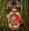 Tree Poetry Tree Faces Decor Outdoor – Bird Feeder, Weatherproof Resin by TreePoetry
