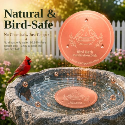 Copper Disc for Bird Bath, 99.9% Pure Copper (Two Birds) - Image 5