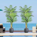 6ft Tall Triple Golden Cane Palm Artificial Tree 72inch Large Tropical Palm Tree UV Resistant Fake Plant in Pot for Indoor Outdoor Big House Living Room Outside Patio Office Home Decor 2Pack by Keeplush