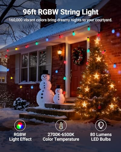 NEEWER NR01 96ft Outdoor String Lights, App Control Smart AI RGBW Lighting - Image 2