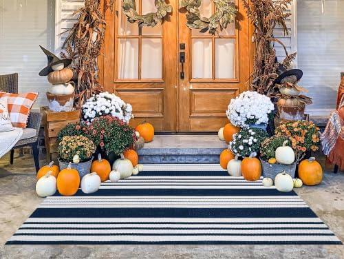 Blue and White Outdoor Rug 3'x 5'Striped Front Porch Rug Layered Door Mat - Image 5