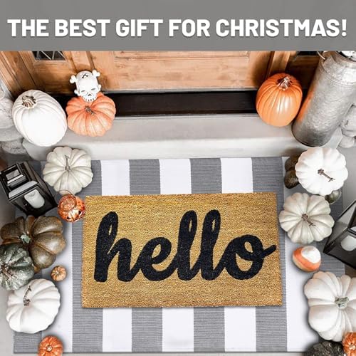 IOHOUZE 27.5x43 Striped Outdoor Door Mat, Washable Porch Rug, Grey/White - Image 3