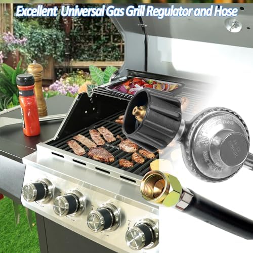 Gas Grill Regulator and Hose - Image 6